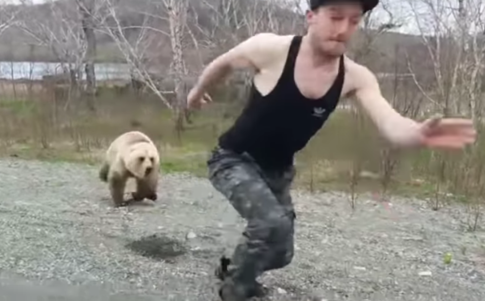 Скорость человека при беге от медведя. Медведь бежит за. Человек убегает от медведя. Медведь гонится за человеком. Медведь бежит за мужиком.