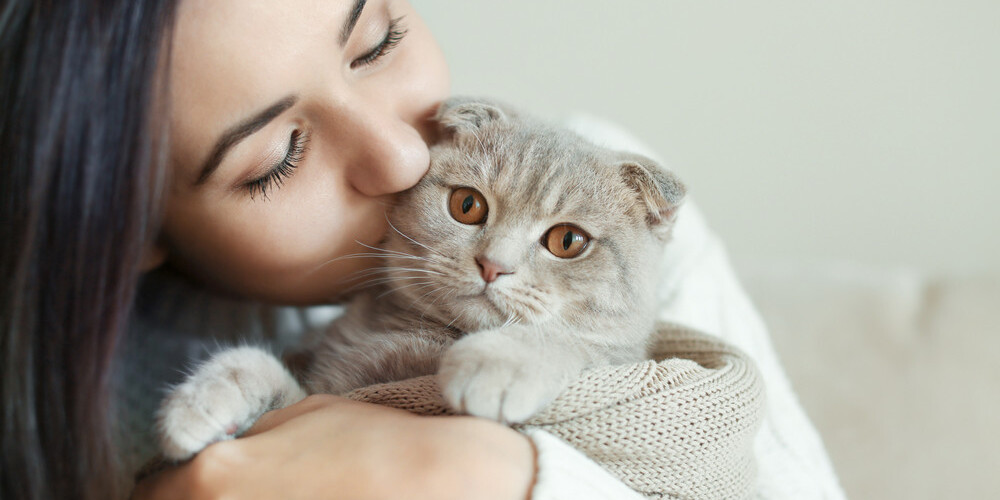 Эксперты рассказали, почему категорически нельзя целовать кошек