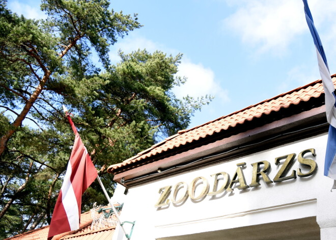 Рижский зоопарк получил аккредитацию Европейской ассоциации зоопарков и аквариумов