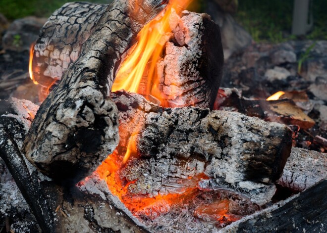 Jāņuguns pelni var noderēt dārza mēslošanā