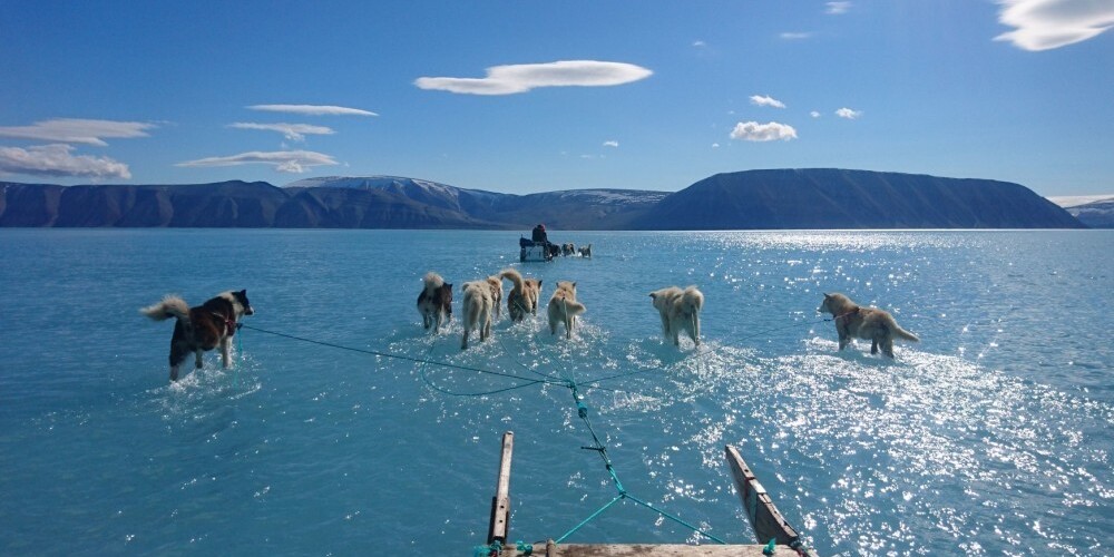 За сутки Гренландия потеряла 40% всех льдов: климатологи заявили о катастрофе