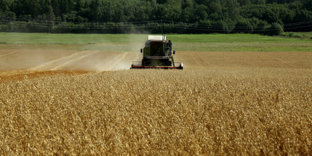 Baltijas valstīs šogad iespējama graudu rekordraža