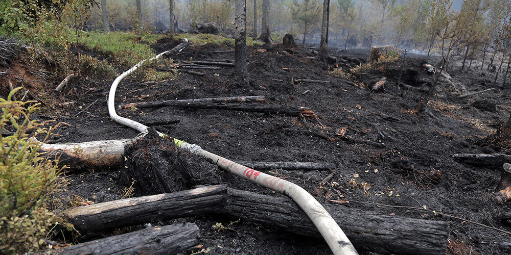 Kārsavas novada kūdras purvā izcēlies plašs ugunsgrēks, kas izpleties 20 hektāru platībā