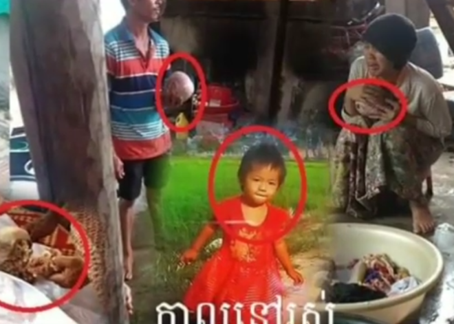 2-летнюю девочку заживо съели крокодилы