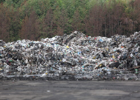 "Rīgas vides pakalpojumi" maina nosaukumu uz "Tīrīga"