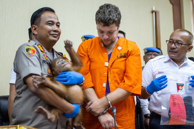 Bali policisti ar izglābto orangutanu un aizturēto Andreju Žestkovu pozē fotogrāfiem.