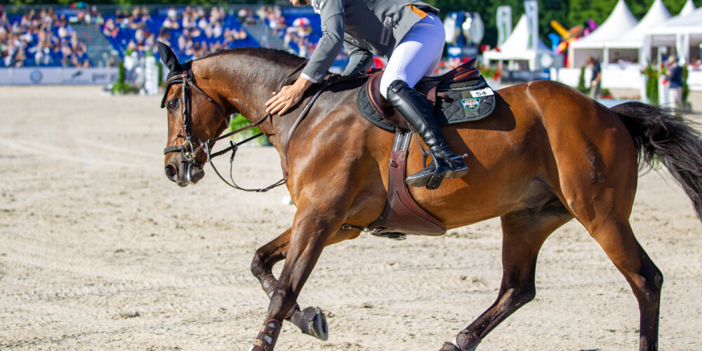 Jātnieka Kristapa Neretnieka sporta zirgs ierindojas starp 20 labākajiem pasaulē