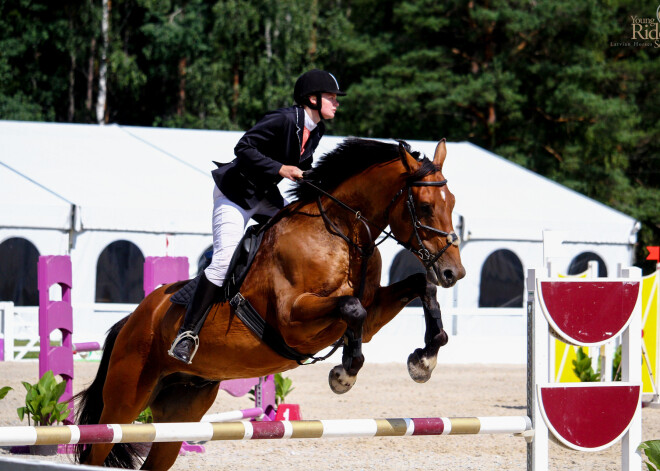 Inčukalnā visus zirgus un zirgu mīļotājus no visas Latvijas priecēja XII Vislatvijas Zirgu diena, kas bija svētki ne tikai zirgiem, jātniekiem, bet arī ģimenēm ar bērniem un citiem interesentiem.