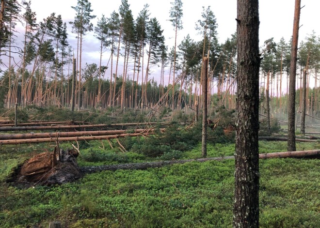 Balvu novada Golvaru kapu sakārtošana pēc virpuļviesuļa izmaksājusi jau 1500 eiro