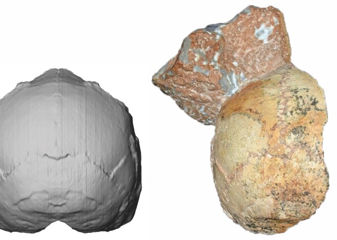 Grieķijā atrastas vissenākā eiropieša paliekas