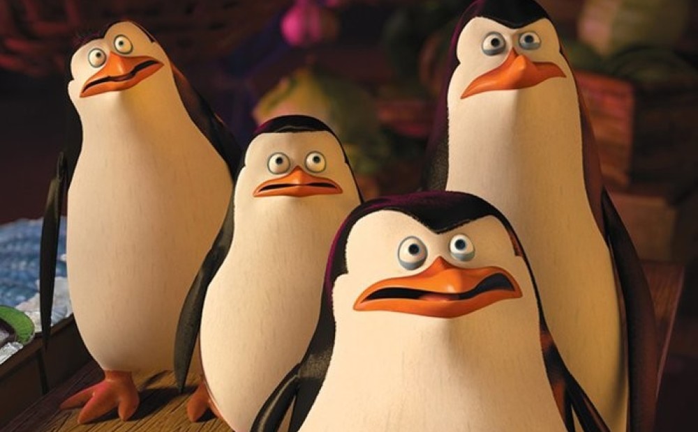 Penguin madagascar