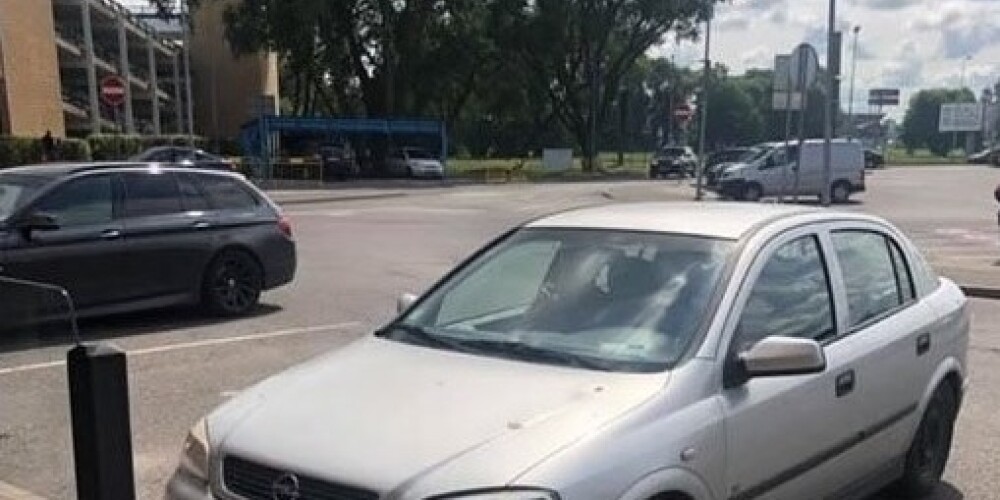 Vīrietis, kurš vardarbīgi izturējās pret suni "Mola" autostāvvietā, tiks sodīts