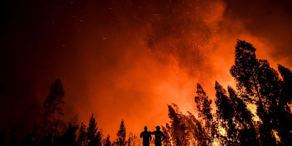 Portugāles vidienē plosās plaši meža ugunsgrēki