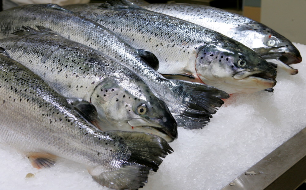 Aptauja: 97% Rīgas un Pierīgas iedzīvotāju uzturā lieto zivis un jūras veltes