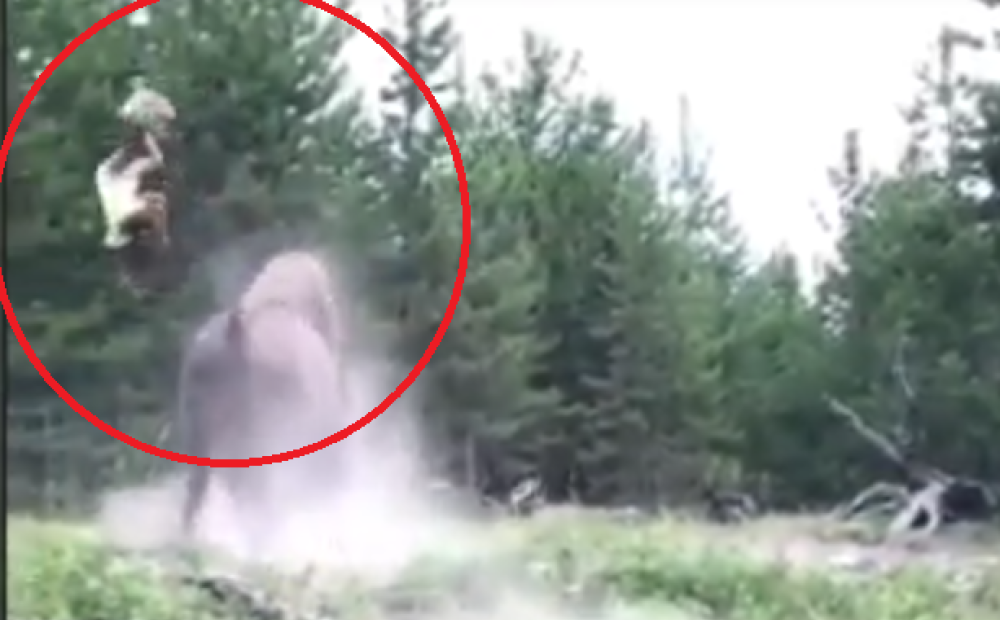 Удивительное везение семьи