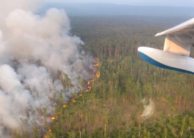 Putins norīkojis armiju dzēst 3 miljonu hektāru plašo Sibīrijas ugunsgrēku