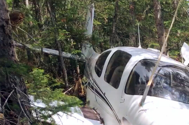 Lehtinena lidmašīnai bija problēmas ar eļļas spiedienu un temperatūru, bet tad dzinējs pārstāja darboties, un tā ar pilotu nogāzās meža nekurienē.