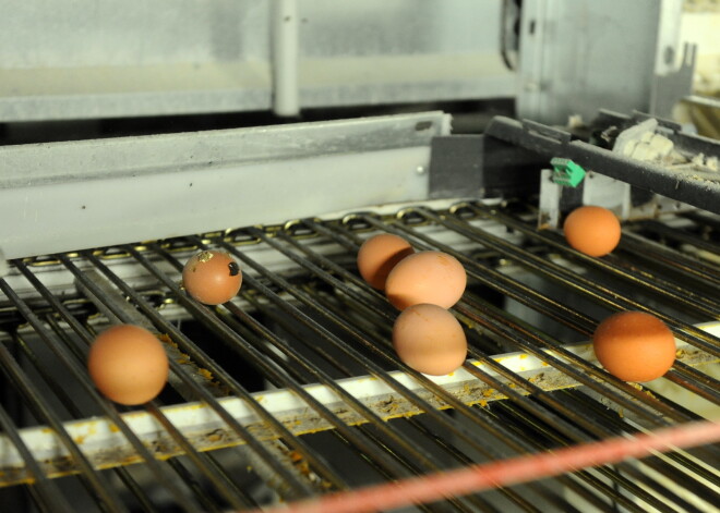 Madlienas iedzīvotāji ir pret ukraiņu olu ražotni, vietvarai attieksme neitrāla