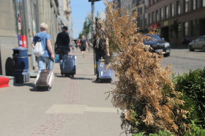 Baronielas puķu podu epopeja pierāda, ka Rīgas domes institūcijas neprot operatīvi un jēdzīgi strādāt.