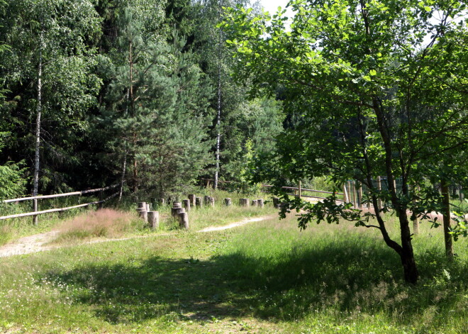 Vecmīlgrāvī atklās dabas taku „Veselības maršruts”