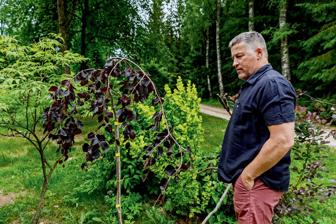 “Paskaties, kādi koki!” Labi – egles, ozols, bet cik liels pīlādzis! Lazda kā milzu pāva aste. Pamatīga. “Tādu es to atstāju, un tāda tā ir izaugusi. Neļāvu jaunos dzinumus dzīt, tos apkniebu. Labā vietā, nav nekādu ēnu. Nekas tai netraucē tādai būt,” bez poētismiem stāsta saimnieks.