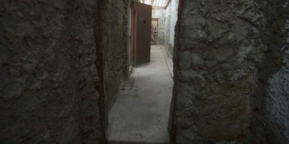 IeVP bažas, ka varētu likt slēgt Daugavgrīvas cietuma Grīvas nodaļu ar 700 ieslodzītajiem
