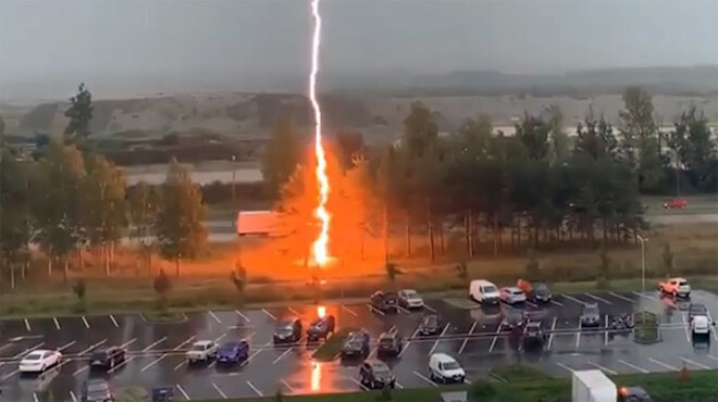 Zibens tiešā spērienā trāpīja kokam.