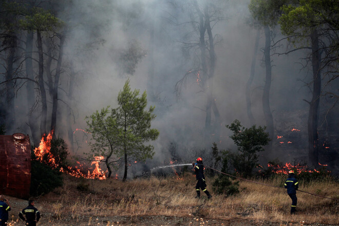 Cīņu ar liesmām mežainajā apvidū apgrūtina vējš un augstā gaisa temperatūra.