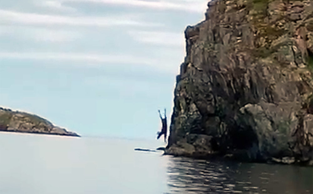 Nervus kutinošs VIDEO: bezbailīgs alnis no stāvas klints ienirst ūdenī