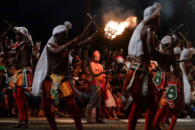 "Esala Perahera" budistu festivālā Šrilankā uzstājas dejotāji, dažādi publikas izklaidētāji un arī ziloņi, kurus apbrīno to spožo kostīmu dēļ.