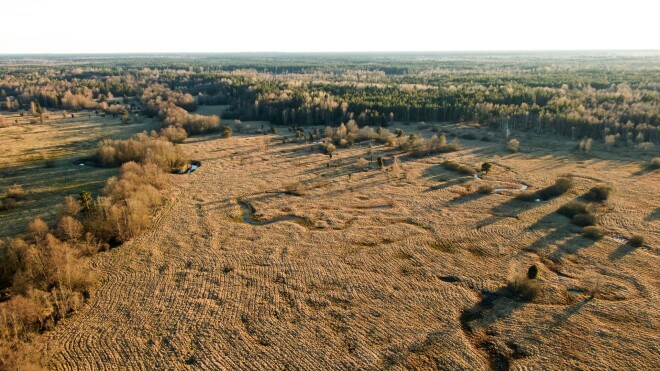 Ar mūsdienīgu dronu lidot patiešām ir ļoti vienkārši, un to, bez mazākā pārspīlējuma, spēj jebkurš.