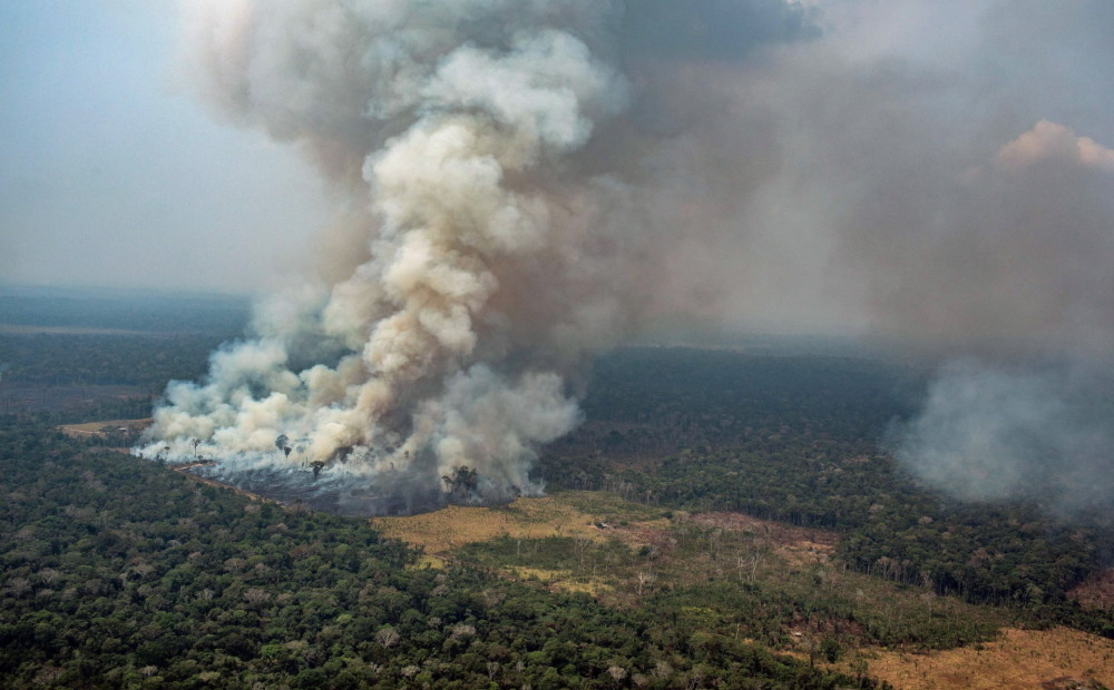 Pēc Amazones lietusmežu ugunsgrēkiem uzmanības lokā nonāk arī Āfrikas mežu ugunsgrēki