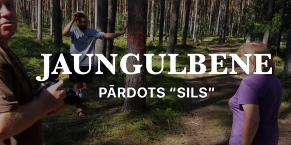 Jaungulbenē vietējie rīko pasēd-ēšanu mežā, protestējot pret tā pārdošanu zviedriem