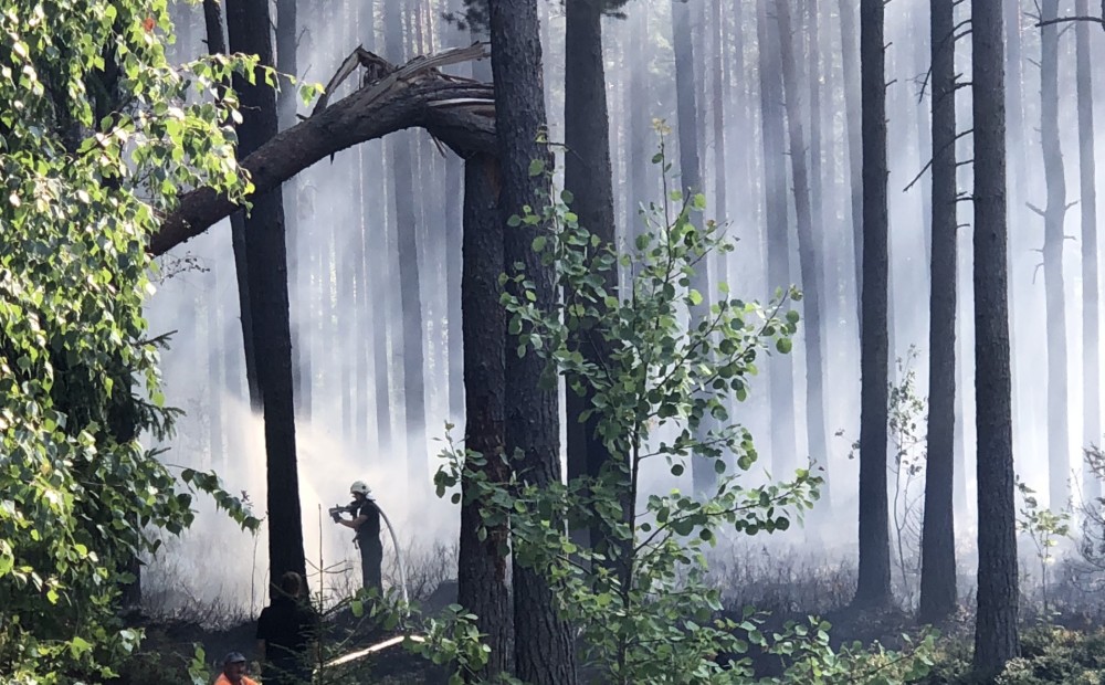 Engures novadā ierobežots meža ugunsgrēks apmēram divu hektāru platībā