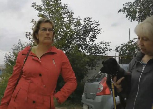 «Пусть ест на здоровье»: женщина покупает щенков, чтобы кормить ими больного туберкулезом мужа
