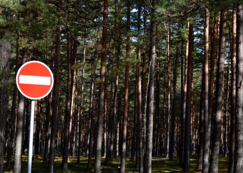 Ilustratīvs foto.