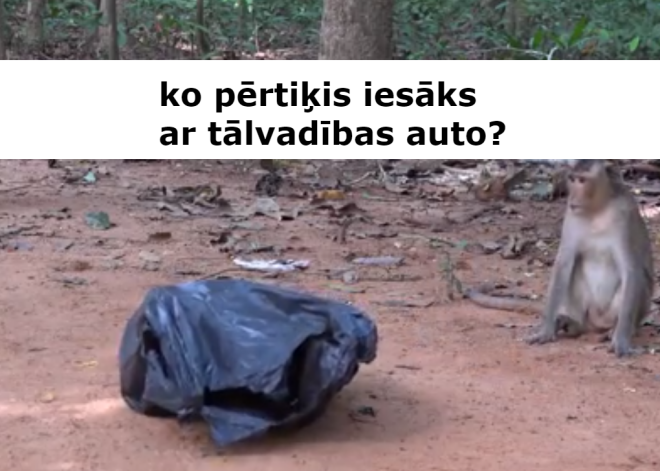 Pērtiķīši spēlējas ar tālvadības auto