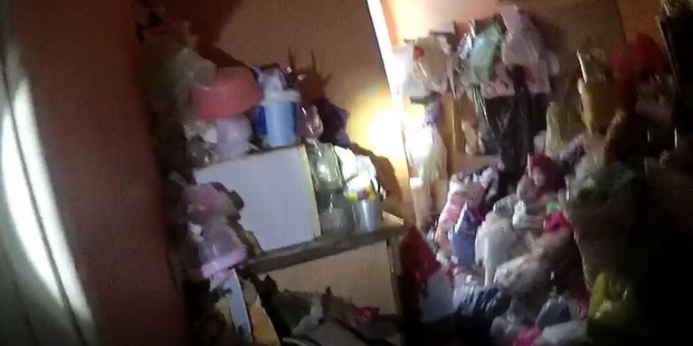 Видео: в Риге измученные коты жили запертыми среди фекалий в зловонной квартире собирателей
