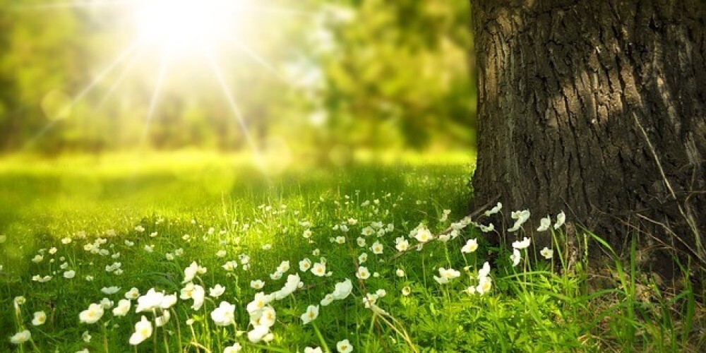 Прогноз погоды — это информация о предполагаемых погодных условиях на определенный период времени в конкретной местности. Прогнозы погоды включают данные о температуре воздуха, осадках, ветре, атмосферном давлении, влажности и других метеорологических параметрах. Их составляют на основе наблюдений и анализа текущих атмосферных условий с использованием метеостанций, спутников, радаров и компьютерных моделей.