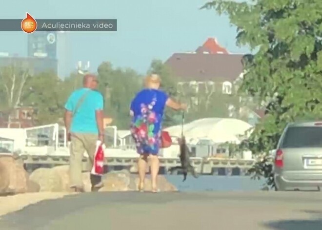 Агрессивная женщина на Кипсале била своего кота, а потом сделала из поводка виселицу