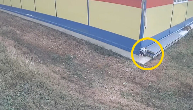 Sieviete pie veikala pamet jaundzimušo dēlu, kuru ielikusi melnā polietilēna maisiņā.