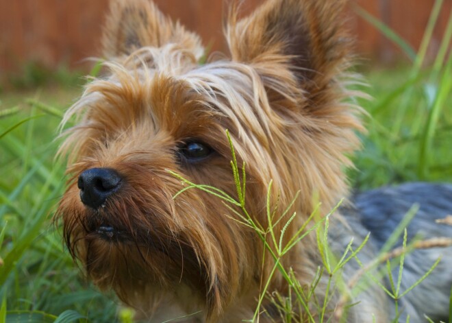 Horoskops visām zodiaka zīmēm - ceturtdiena, 12. septembris