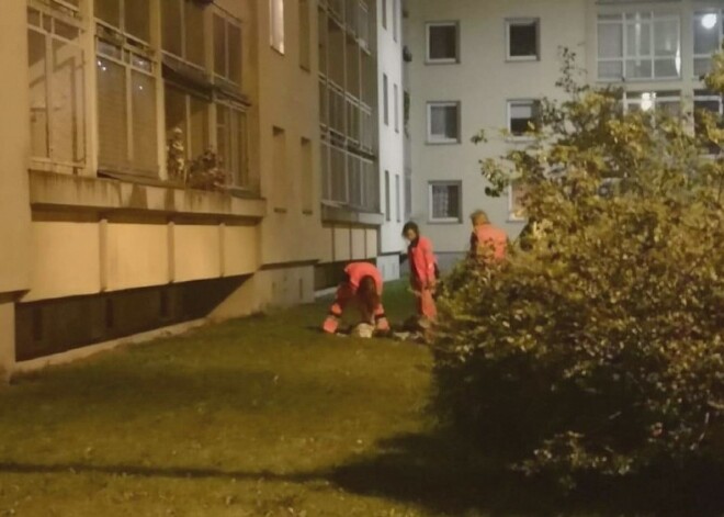 "Лежала на боку, в медицинских перчатках": у многоэтажки в Дрейлини нашли труп женщины