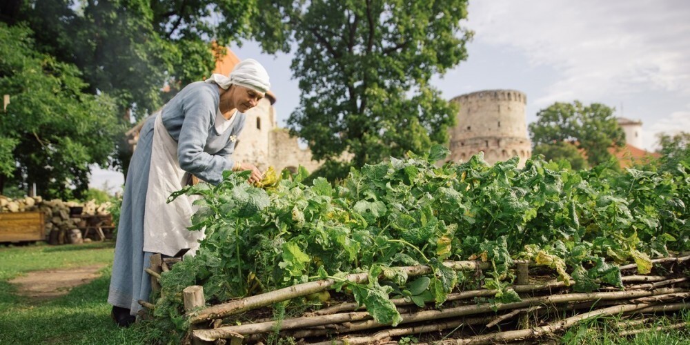 Cēsis ir pilsēta Latvijā, Vidzemes augstienes ziemeļu daļā, Cēsu novada administratīvais centrs. Cēsis atrodas 90 km no Rīgas. Gar pilsētu plūst Gaujas upe. Cēsis ir viena no vecākajām pilsētām Latvijā, Hanzas savienības pilsēta un viena no Livonijas ordeņa mestru rezidencēm (1237—1561). Cēsis ir Latvijas karoga dzimtene.