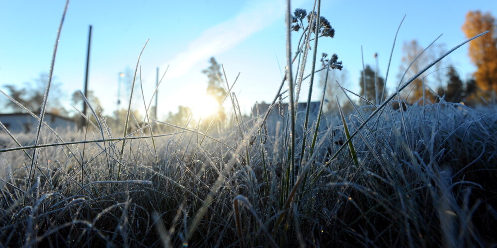 Nākamnedēļ Latviju sagaida mēneša aukstākās dienas un spēcīgas salnas
