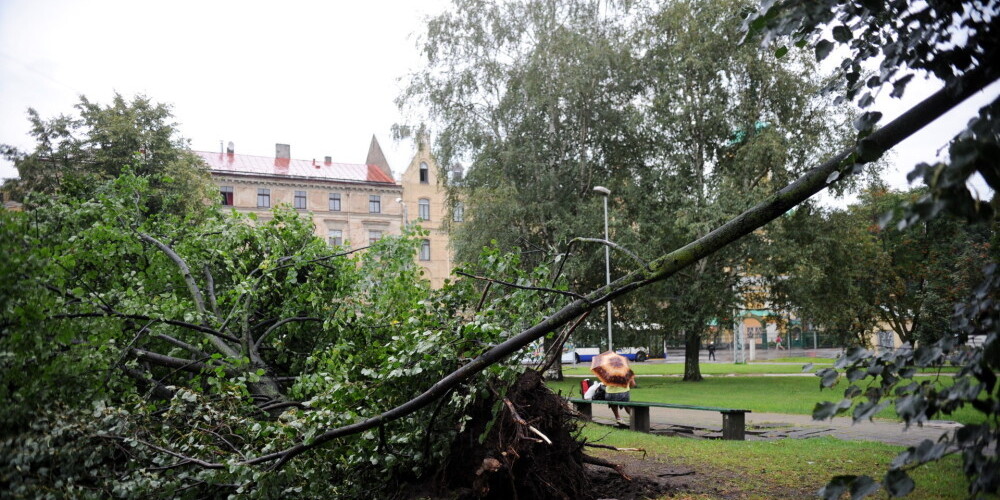 В Латвии объявлено предупреждение о сильном ветре