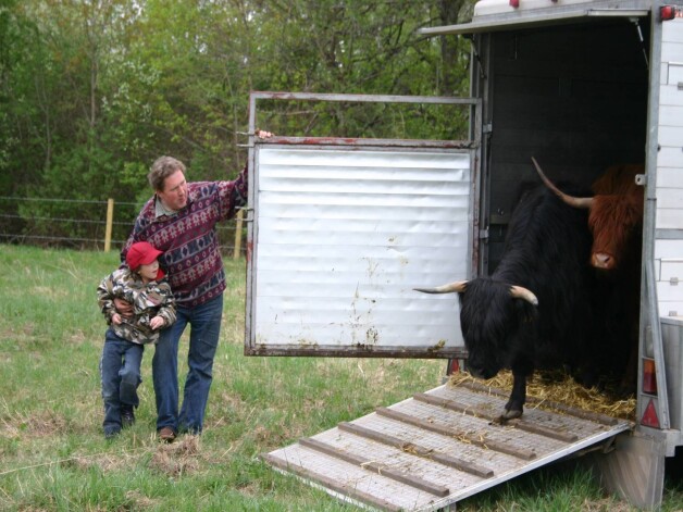 2006. gada maijs, kad Litenes palienē izkāpa pirmie "Highlander" šķirnes liellopi no Nīderlandes.