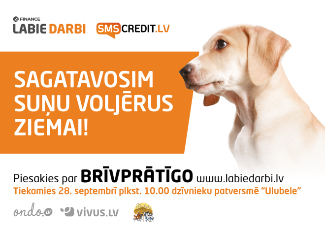 Jau trešo gadu pēc kārtas "4finance Labie Darbi" un SMScredit.lv aicina uz rudens talku dzīvnieku patversmē "Ulubele"