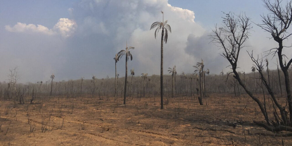 NVO: ugunsgrēkos Bolīvijā izdeguši četri miljoni hektāru zemes un pļavu