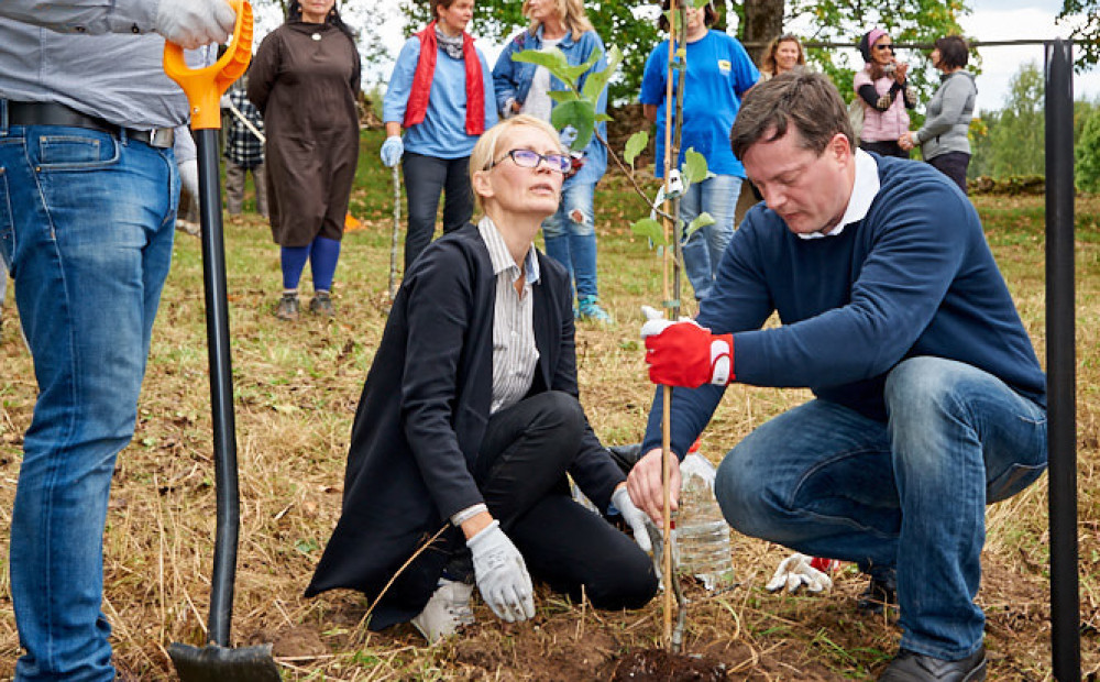 Rīt Latvijā stādīs nākotnes dižkokus: Laimes kokus